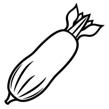 black and white zucchini vegetable clip art preview