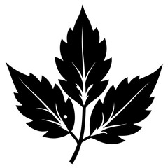 Leafy Green Vector Silhouette with White Background – Cartoons, Clipart, Line Art Design, Vector leafy green silhouette design, perfect for nature-themed digital products and illustrations