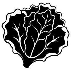 Vector Lettuce Silhouette with White Background – Clipart, Cartoon & Line Art Design, Fresh vector lettuce silhouette design on white background for digital use