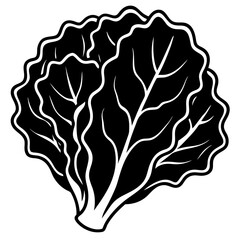 Vector Lettuce Silhouette with White Background – Clipart, Cartoon & Line Art Design, Fresh vector lettuce silhouette design on white background for digital use