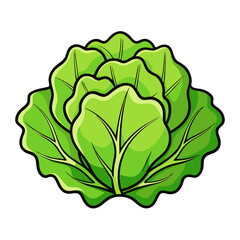 Vector Lettuce Silhouette with White Background – Clipart, Cartoon & Line Art Design, Fresh vector lettuce silhouette design on white background for digital use
