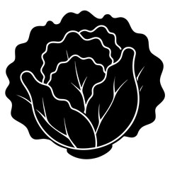 Vector Lettuce Silhouette with White Background – Clipart, Cartoon & Line Art Design, Fresh vector lettuce silhouette design on white background for digital use