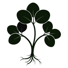 Vector Silhouette of Watercress on White Background - Clipart, Line Art, Cartoons, Vector illustration of watercress silhouette with white background, perfect for designs