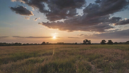 Obraz premium sunset in the field