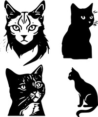 black and white cats