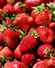 Close-up of fresh, ripe strawberries with vivid red color and perfect texture