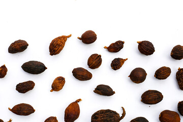 Black Cardamom or Greater Cardamom