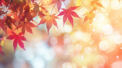 Fototapeta premium Vibrant Autumn Leaves with Bokeh Effect and Warm Glow Background