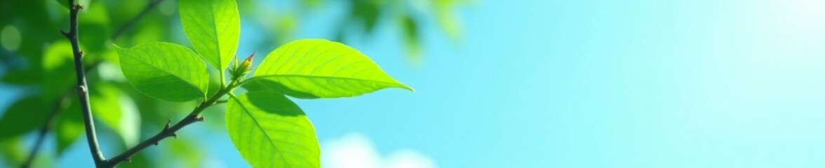 Vibrant green leaves, slender black stem against sky, bright foliage, black, treetop