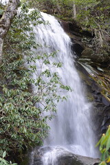 waterfall in the forest