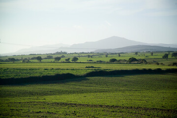 Nurra landscape with Mount Doglia in the background. Sassari, Alghero. Sardinia. Italy