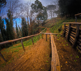 Fototapeta premium A suggestive path in the Peloritani Mountains in Sicily