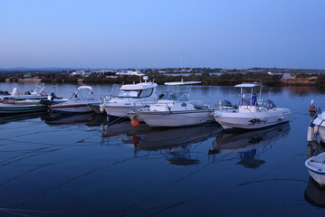 boats in the harbor