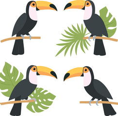 set of toucan