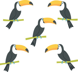 set of toucan