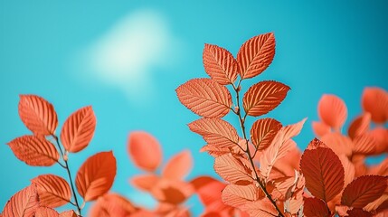 Obraz premium Vibrant Coral Leaves Against Blue Sky