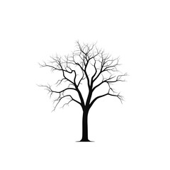 Obraz premium Monochrome Silhouette of a Dead Tree against a Clean White Background