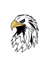 american bald eagle