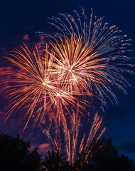 burst of vibrant fireworks illuminates night sky, symbolizing celebration and freedom with orange sparks joyfully dancing among dark backdrop