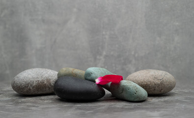 cosmetic background podium with natural stones.natural stones and real plants flowers for presentation of products perfumery cosmetics medicine jewelry body care makeup skin care.