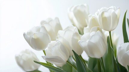 Fototapeta premium Delicate blossoms or flowers in the corner of a white gray background