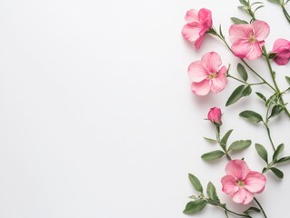 Naklejka premium Delicate pink blossoms in the corner of a white gray background 