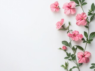 Fototapeta premium Delicate pink blossoms in the corner of a white gray background 