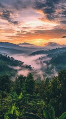 Obraz premium A misty veil shrouds a verdant forest on a rolling hillside. The ethereal fog cloaks the scene in mystery, hinting at hidden golds and ambers above