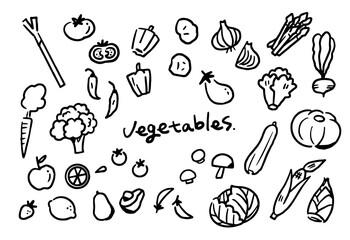 手描き　野菜　イラストセット　線画