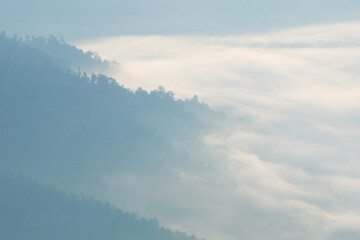 misty mountain hills landscape