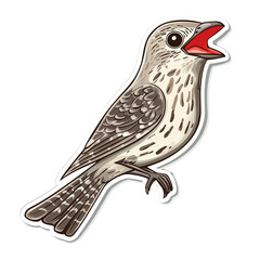 Obraz premium cuckoo bird in cartoon color contour vector style, white background 