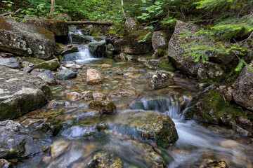 Mount Zeeland Trail in the White Mountains, New Hampshire