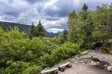 Mount Zeeland Trail in the White Mountains, New Hampshire