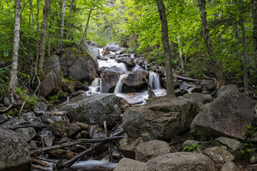 Mount Zeeland Trail in the White Mountains, New Hampshire