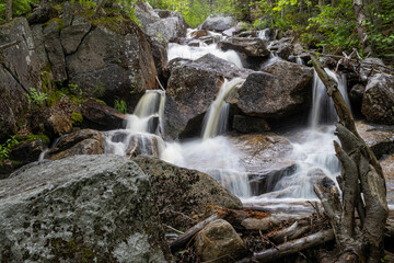 Mount Zeeland Trail in the White Mountains, New Hampshire