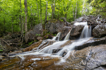Obraz premium Mount Zeeland Trail in the White Mountains, New Hampshire