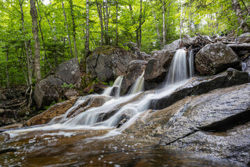 Mount Zeeland Trail in the White Mountains, New Hampshire
