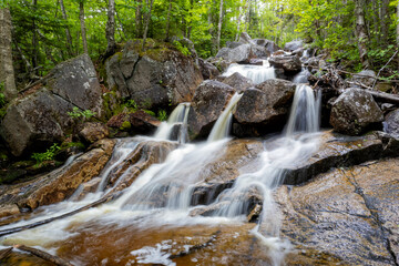 Mount Zeeland Trail in the White Mountains, New Hampshire