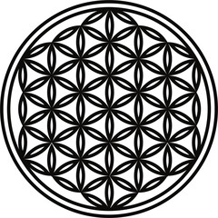 Sacred Geometry, flower of life, フラワーオブライフ, 神聖幾何学, illustration 