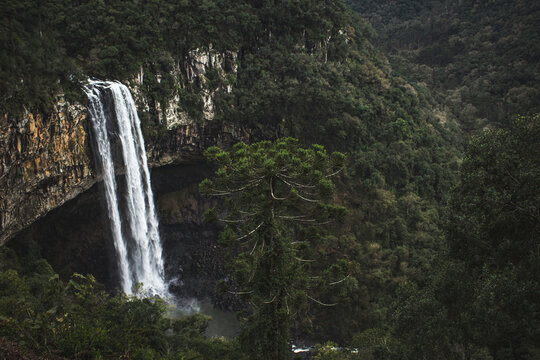 Cachoeira do Parque Municipal do Caracol, Canela, Rio Grande do Sul