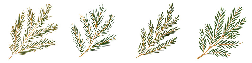 Fototapeta premium Closeup of lush pine tree branches with green needle foliage in a natural seasonal forest setting Perfect for holiday Christmas or winter themed designs backgrounds and decor