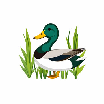 cartoon duck in green grass clip art preview