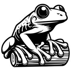 Tree Frog Illustration.