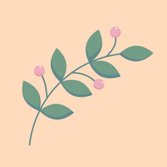 spring a branch with berries