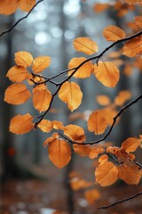 Serene autumn forest scene with golden leaves and sunlight in a beautiful natural park fall landscape