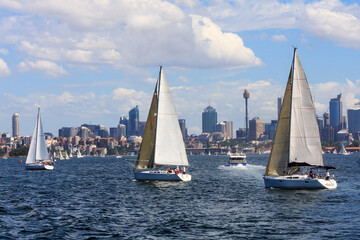 Obraz premium Yachts sailing in Sydney Harbour
