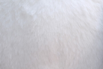 White fur soft texture abstract on background