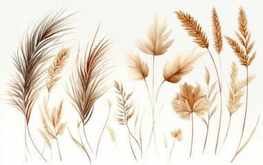 Watercolor Painting of Dried Palm Leaves and Wheat Stems in Earthy Tones for Floral Decor and Design