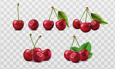 3d realistic vector icon. set of red cherries,  whole cherry with green leaves for your mockup product. Isolated on white background.