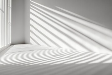 Abstract White Studio Background for Product Display with Shadows and Palm Leaves in a Grey Room
